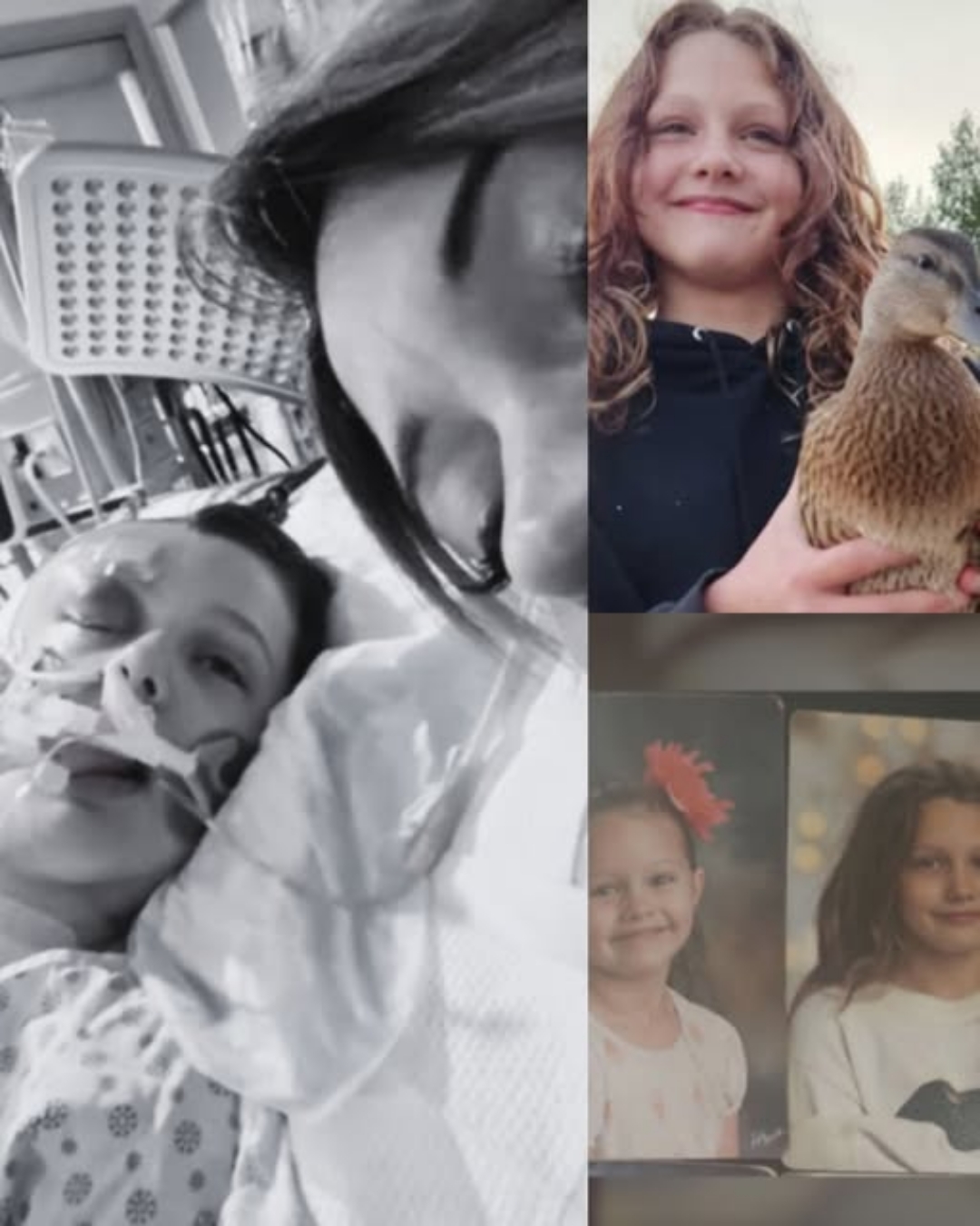 THE FIGHT OF HER LIFE. 🚨 12-year-old Maya Gebala spent weeks in a coma after a school attack that left a community in shock. But today, the “Girl Who Shielded Her Friends” sent a signal that changed everything. Doctors have just confirmed that Maya has opened her eyes and regained her voice.  It is a moment of pure hope in a journey that remains uncertain, but for the family who refused to leave her side, it’s the victory they’ve been waiting for. The recovery is long, the scars are deep, but the hero of the classroom is finally speaking for herself. 🛡️👣  WHAT COMES NEXT: The details on Maya’s condition and her mother’s heartbreaking message in the comments below. 👇