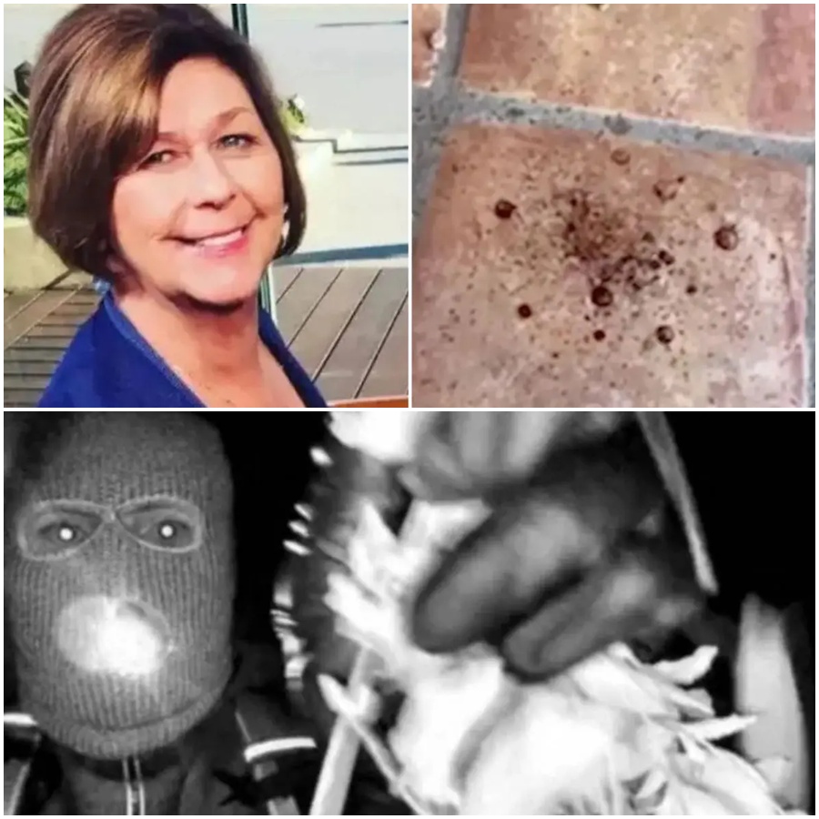 CHILLING DISCOVERY: DO BLOODSTAINED CLUES REVEAL NANCY GUTHRIE’S FINAL MOMENTS BEFORE HER SHOCKING ABDUCTION? 🌑  The investigation into Nancy Guthrie’s disappearance has taken a gruesome turn. Fresh evidence of blood droplets found outside her home points to a nightmare scenario—investigators believe the 84-year-old was incapacitated and moved against her will in a “military-style” extraction.  Experts analyzing the scene suggest the blood loss could indicate a physical struggle that left Nancy vulnerable and severely injured. This heartbreaking update confirms the family’s worst fears: that her removal from the house was a calculated, violent act. As the trail of evidence grows cold, the hunt for her captors intensifies. Was this a targeted attack, or a home invasion gone horribly wrong?  See the detailed analysis of the crime scene and the search for Nancy Guthrie below: 👇