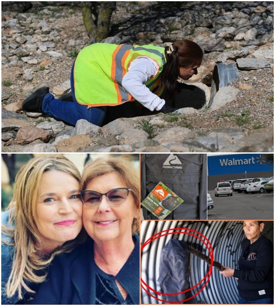 A SHOCKING TURN IN THE SEARCH. After 30 days of hope and tireless efforts to find Nancy, local authorities and volunteer teams have unexpectedly located a body in a ditch near the forest’s edge—just 12km from her residence. 🚨  The search that gripped the community for a month has reached a devastating crossroads. While official identification is still pending, the location and circumstances of the find have sent shockwaves through the neighborhood. 🛡️👣  READ THE FULL ACCOUNT: The latest details from the police briefing and the scene of the discovery below. 👇