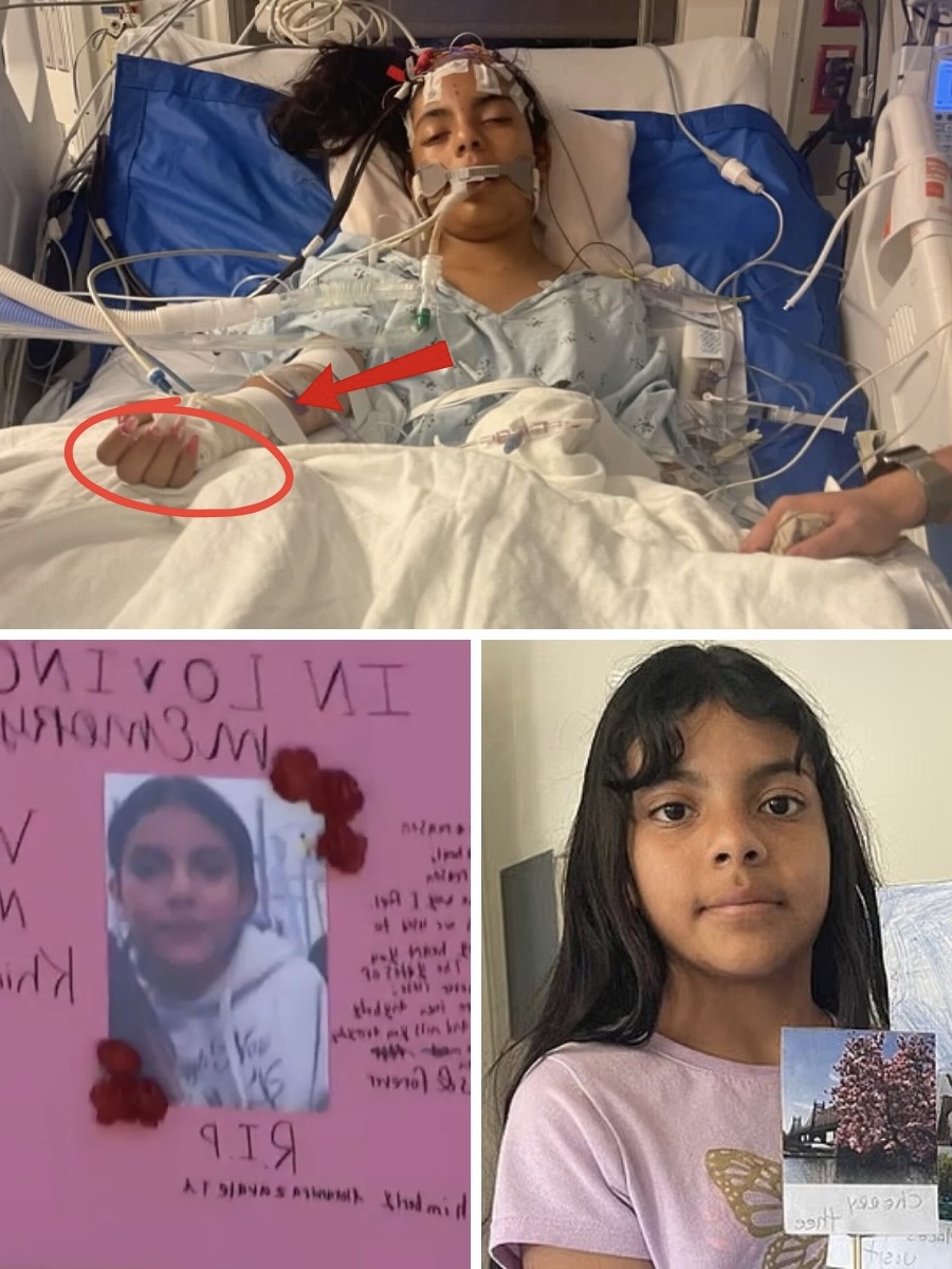 TRAGIC ALERT: 12-Year-Old Khimberly Zavaleta Chuquipa in Critical Condition After School Assault 💔