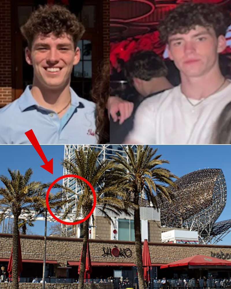 “WE NEVER WANTED TO GO BACK…” 😨  A chilling warning is going viral—and it’s raising new questions after the Jimmy Gracey case.