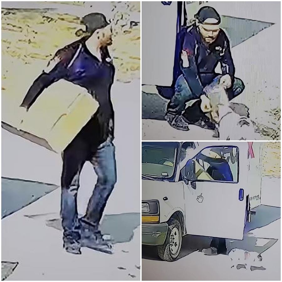 🚨 SHOCKING NEW DETAILS ABOUT ATHENA STRAND’S KILLER 🚨  Just days after brutally murdering 7-year-old Athena Strand, Tanner Horner was seen sitting in a stranger’s driveway—without a package in hand. Tom Euler, the homeowner, watched as Horner fed his dog, grabbed a package, and lingered in his truck—while his own 8-year-old daughter played just steps away.  Was Horner scouting his next victim? The eerie connection between Horner’s actions and Tom’s daughter begs the question: Was Athena just the first? Or was this planned all along?  📌 Full story in the comments