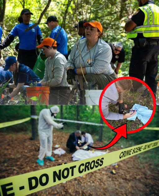 🚨 MEMPHIS CASE UPDATE: 3 Y0UNG L!VES LINKED TO WOODED AREA — BUT ONE DISCOVERY CHANGES EVERYTHING 💔  Police Chief Cerelyn “CJ” Davis confirmed new developments in a case involving three children in Memphis.  It all began when a woman walking her dog reported a concerning find near Ridge Meadow Parkway…  🔹 March 8: Initial discovery at the forest edge 🔹 March 10: K-9 units led investigators to a drainage system nearby  What was found there has now shifted the entire investigation — and raised questions no one can answer yet.  👉 See what investigators uncovered and why this case is far from over below ⬇️⬇️