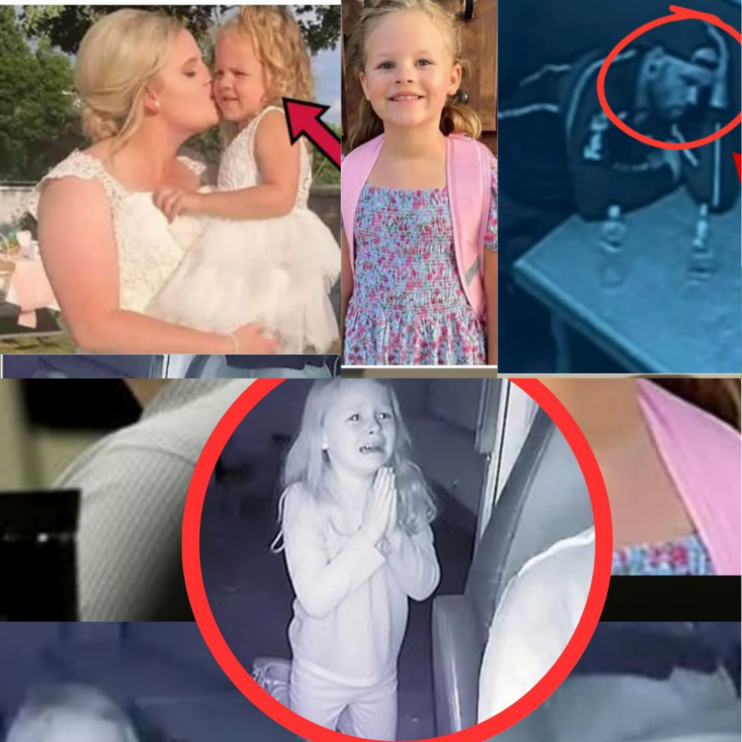 THE HEARING REACHED A POINT NO ONE ANTICIPATED Just as proceedings moved forward, the atmosphere shifted.