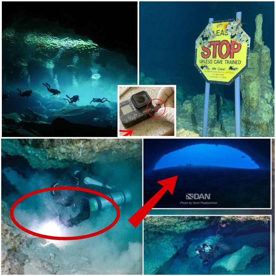 ๐๐ TRAPPED IN DARKNESS โ INSIDE THE MALDIVES DEATH CAVE New images from deep within the Maldives cave reveal the terrifying conditions that claimed five Italian divers. Murky sediment and zero visibility left the group disoriented, leading them straight into a dead-end corridor with no way outโฆ ๐ Full story and shocking images in comments ๐