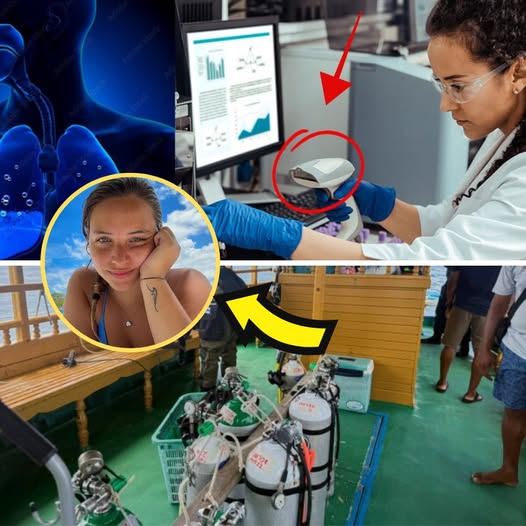 ⚠️ SHOCKING NEWS: THE WATER IN THEIR LUNGS DIDN’T MATCH THE SEA 🌊💀 The Maldives diving tragedy has taken a chilling turn. All five victims had saltwater in their lungs — but it doesn’t match the seawater where their bodies were found. Experts have analyzed the evidence, and their conclusion is being called one of the most horrifying discoveries in forensic history… 📌 Full investigation and shocking details in comments 👇