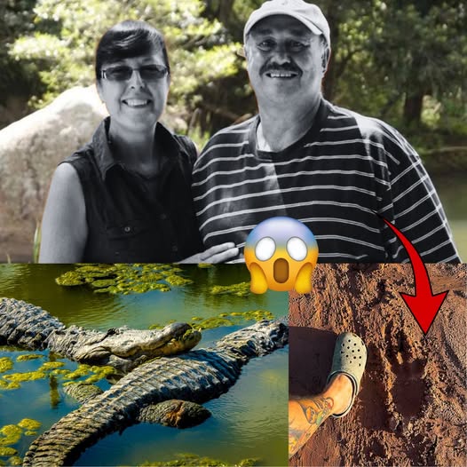 💔🦁 TRAGIC SAFARI MURDER — ERNST AND DINA MARAIS FOUND DEAD What should have been a dream retirement adventure ended in horror. Ernst and Dina Marais were found brutally murdered inside Kruger National Park, turning one of Africa’s most iconic safari destinations into the center of a chilling investigation.  Authorities say a mysterious footprint at the scene — one that doesn’t match either victim — is leaving investigators and the public stunned. Every detail of their final movements is being examined as families demand answers. 👣💀  📌 Full story and shocking scene details in comments 👇