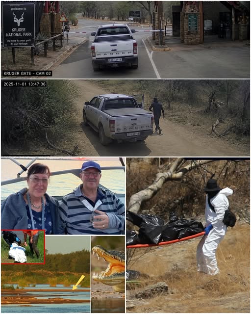 🎥 CCTV FOOTAGE KEPT HIDDEN — EVERY MOMENT OF ERNST & DINA MARAIS IN KRUGER NATIONAL PARK 🦁💀 The recently uncovered footage captures their final movements inside the park — and the last scene shows them in a chilling situation no one could have anticipated. ❌  What happens in those final seconds has left investigators and viewers alike stunned.  📌 Full story and shocking footage in comments 👇