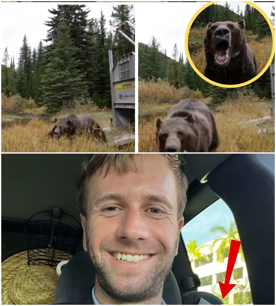 HE LEFT A VOICE-OFF… AND THEN EVERYTHING CHANGED 🐻😨 Investigators have released CCTV footage of Anthony Edward Pollio moments before his deadly encounter with a bear. The final sound captured in the 22-second recording? Something moving quickly through the trees — a chilling prelude to what was about to unfold. Now, experts and viewers alike are analyzing every second of the footage for clues about the terrifying final moments. 👀 👇 Read more below.