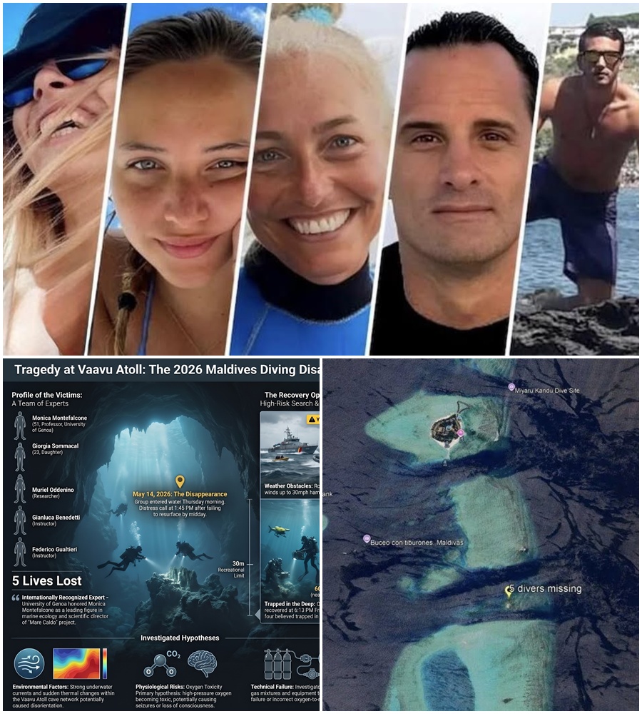 💥 “A GIANT BLACK SHAPE EMERGED…” GPS data from 3 of the missing Italian divers shows they witnessed a huge, shadowy creature in the Maldives cave 😨 Only 15 seconds later, all signals vanished. What lurks in the depths of Vaavu Atoll? The chilling truth is still unknown… 👇👇👇