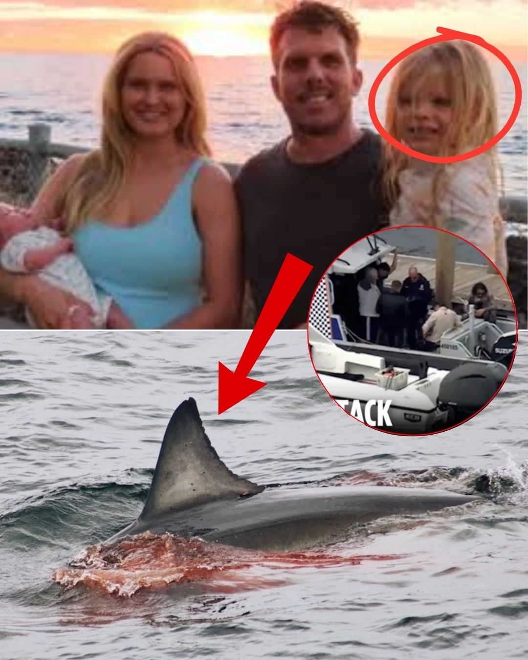“DADDY! NOOOOO…” The heart-wrenching scream of the little girl, along with her terrified expression as she witnessed her father being torn apart by a great white shark right before her eyes, will haunt her for the rest of her life… See full post 👇