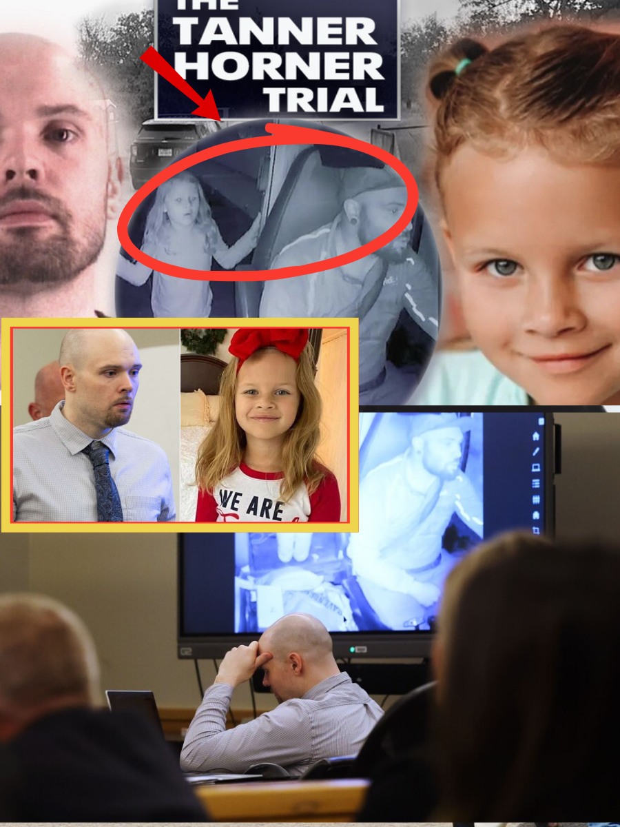 CONFESSION OR COVER? Tanner Horner pleads guilty in court