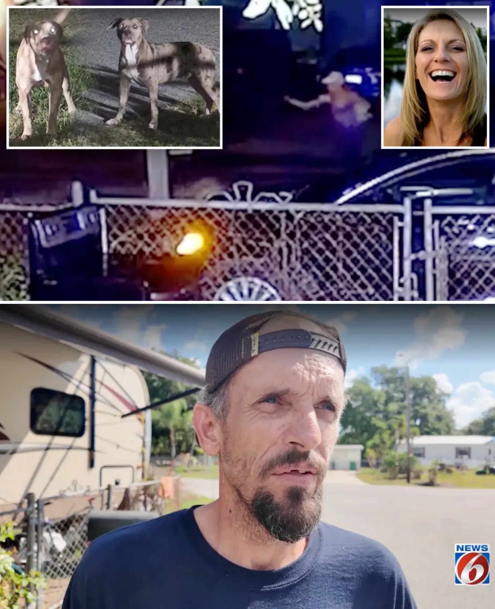 Florida Woman Savagely Killed by Neighbors’ Aggressive Pit Bulls in Brutal Attack Caught on Surveillance Video.