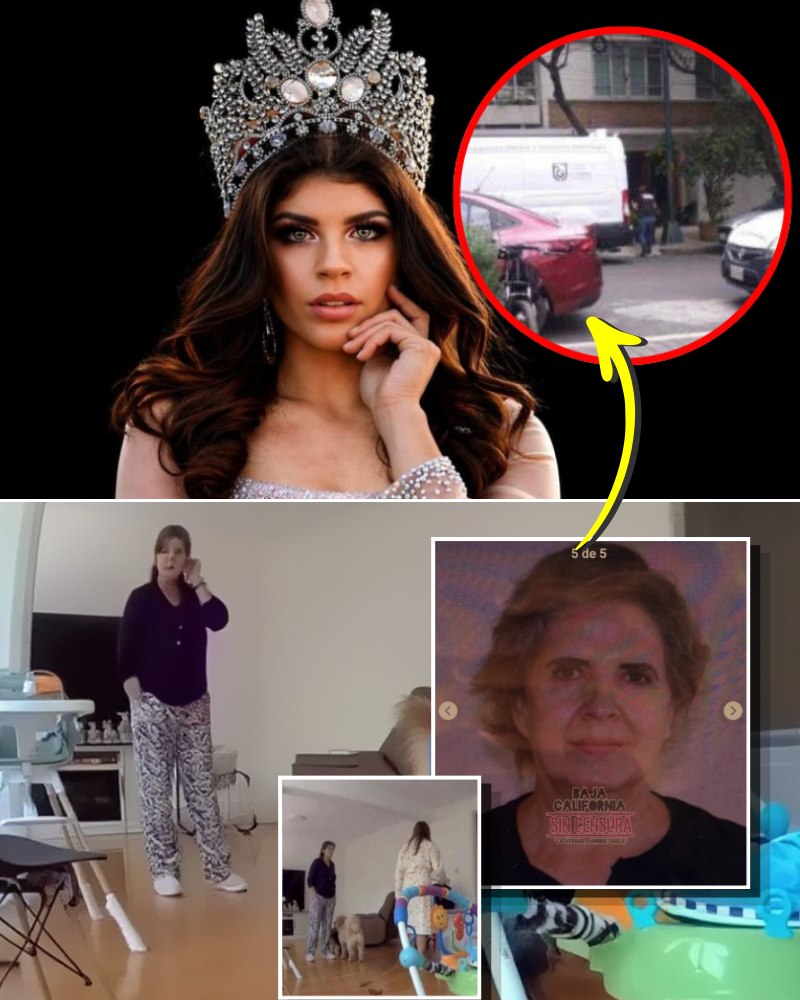 Taxi Driver Confesses Role in Helping Mother-in-Law Flee After Carolina Flores Gómez Murder