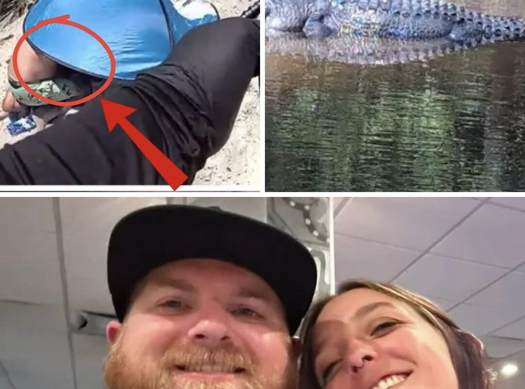 HE FOUGHT THE GATOR TWICE: Brittany Clark’s Boyfri…