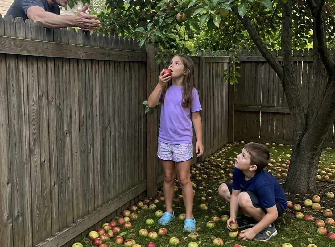 MY NEIGHBOR FORCED MY CHILDREN TO RETURN EVERY FALLEN APPLE — THEN MY HUSBAND FOUND THE PERFECT WAY TO TEACH HIM A LESSON