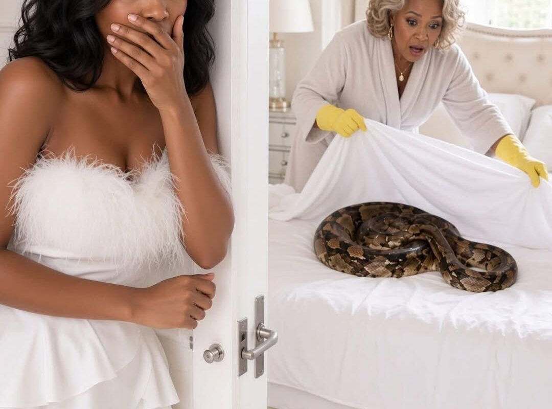 MY MOTHER-IN-LAW TRIED TO KILL ME FOR $25 MILLION… BUT SHE DIDN’T KNOW I HAD ALREADY DISCOVERED HER SECRET