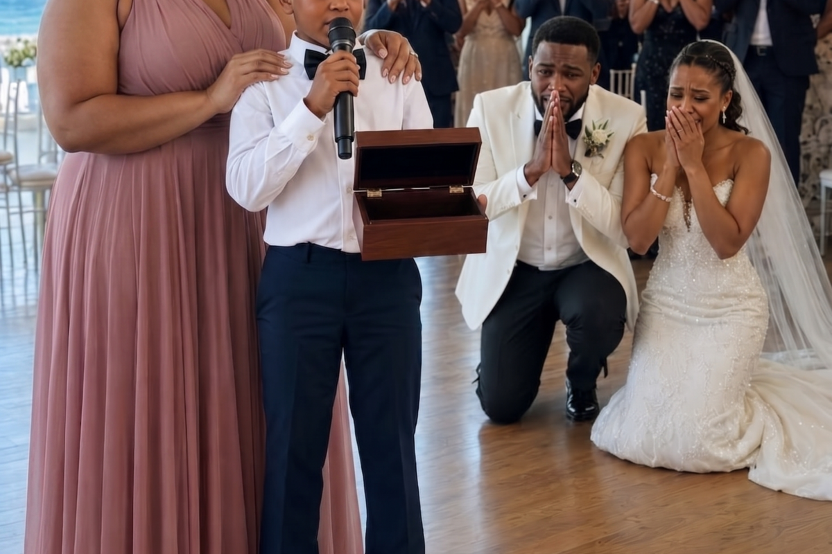 MY EX-HUSBAND MOCKED ME AT HIS LUXURY WEDDING — THEN OUR SON OPENED A BOX THAT CHANGED EVERYTHING
